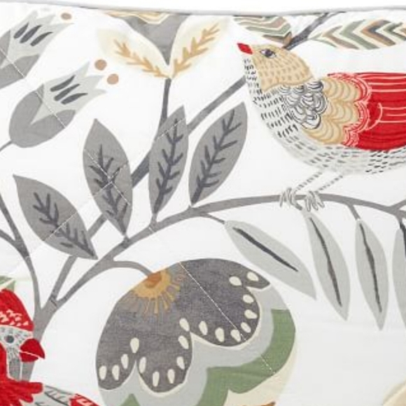 Pottery Barn RARE Jolly Bird Quilted EURO shams (2 shams) - Picture 2 of 8